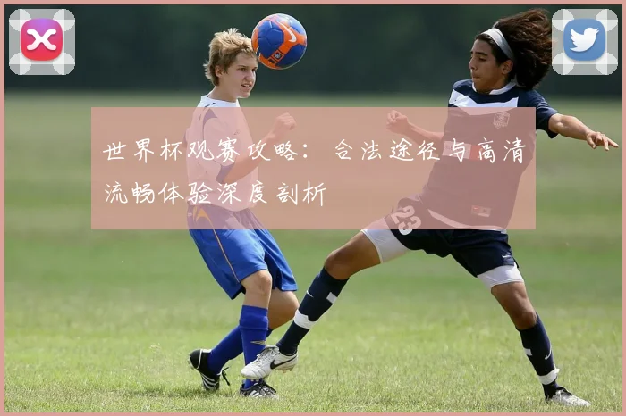 世界杯观赛攻略:合法途径与高清流畅体验深度剖析