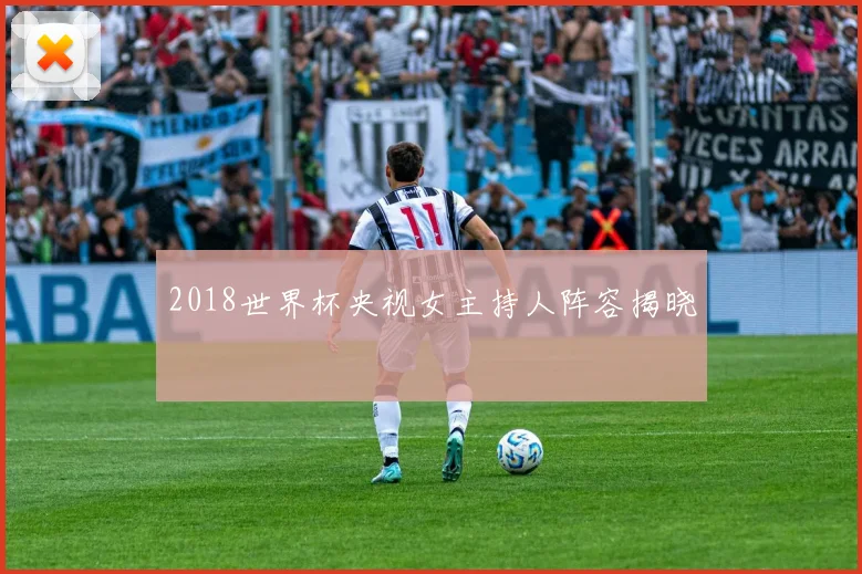 2018世界杯央视女主持人阵容揭晓