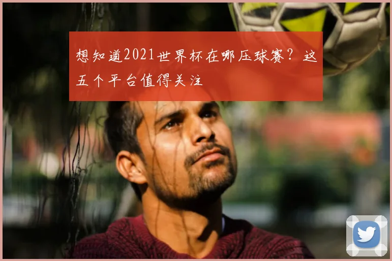 想知道2021世界杯在哪压球赛？这五个平台值得关注