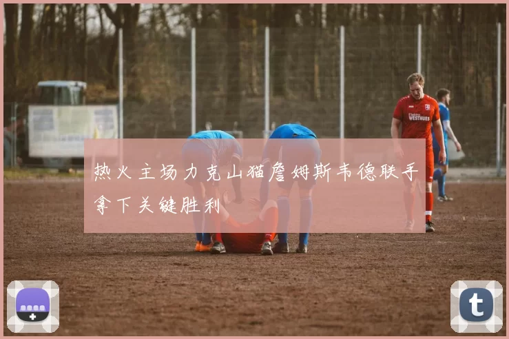 热火主场力克山猫詹姆斯韦德联手拿下关键胜利