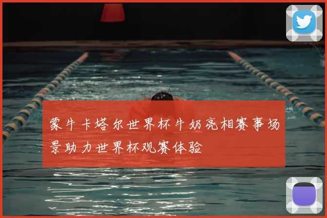 蒙牛卡塔尔世界杯牛奶亮相赛事场景助力世界杯观赛体验