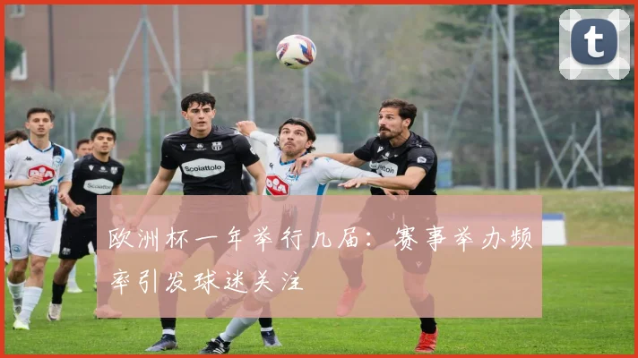 欧洲杯一年举行几届：赛事举办频率引发球迷关注