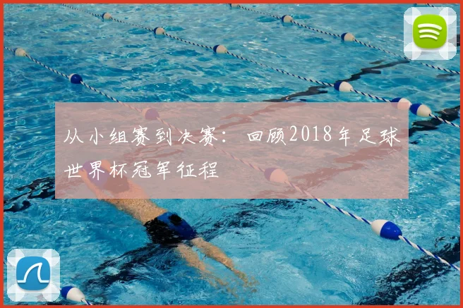 从小组赛到决赛:回顾2018年足球世界杯冠军征程